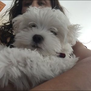 Meet your Posher, Miriam